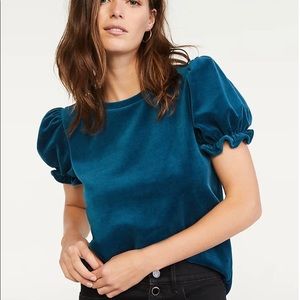 Ann Taylor Velvet Puff Sleeve Top NWT Size M